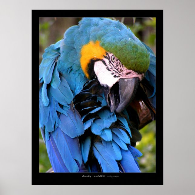 Cleansing Poster (Front)