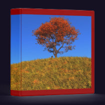 Clear Autumn Day Binder
