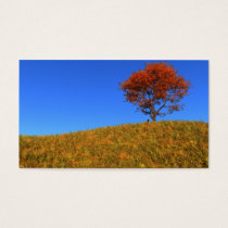 Clear Autumn Day Bookmarks