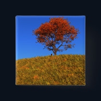 Clear Autumn Day Button