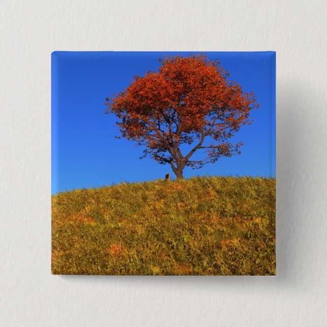 Clear Autumn Day Button (Front)