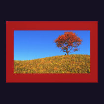 Clear Autumn Day Canvas Print