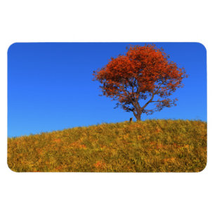 Clear Autumn Day Flexible Magnet