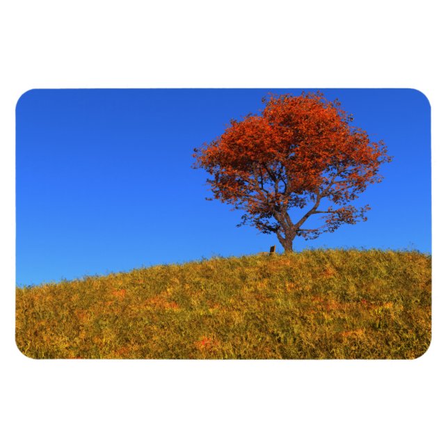 Clear Autumn Day Flexible Magnet (Horizontal)