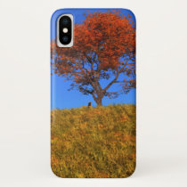 Clear Autumn Day iPhone Case-Mate X Case