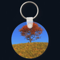 Clear Autumn Day Keychain
