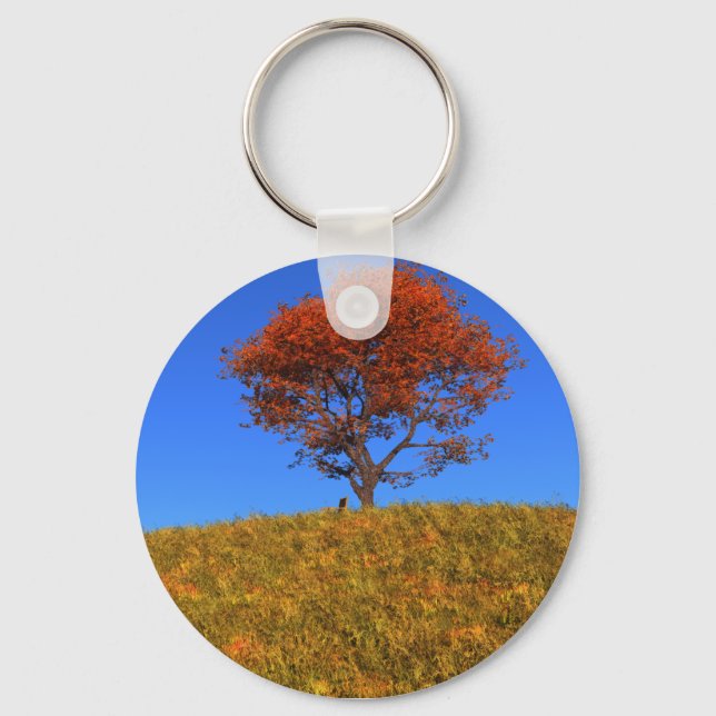 Clear Autumn Day Keychain (Front)