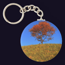 Clear Autumn Day Keychain