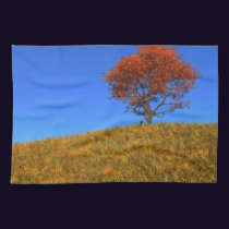 Clear Autumn Day Kitchen Towel