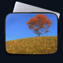 Clear Autumn Day Laptop Sleeve