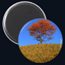 Clear Autumn Day Magnet
