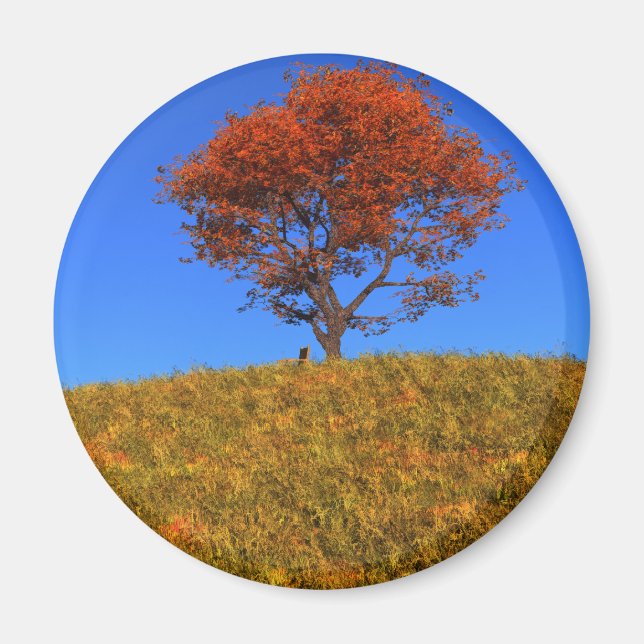 Clear Autumn Day Magnet (Front)
