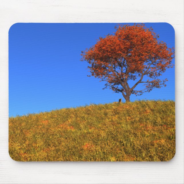 Clear Autumn Day Mousepad (Front)