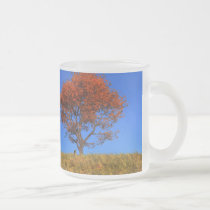 Clear Autumn Day Mug