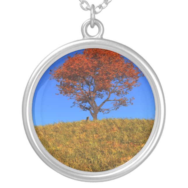 Clear Autumn Day Necklace (Front)
