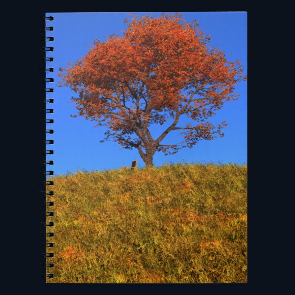 Clear Autumn Day Notebook