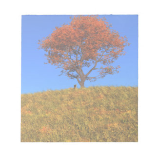 Clear Autumn Day Notepad