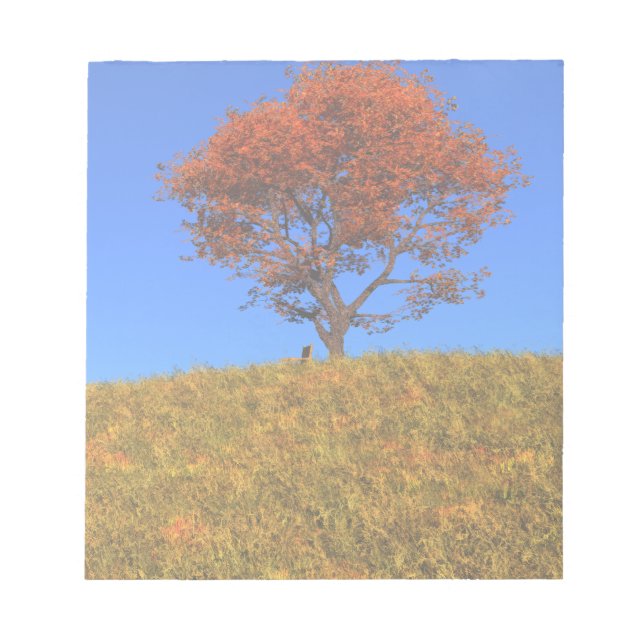 Clear Autumn Day Notepad (Front)