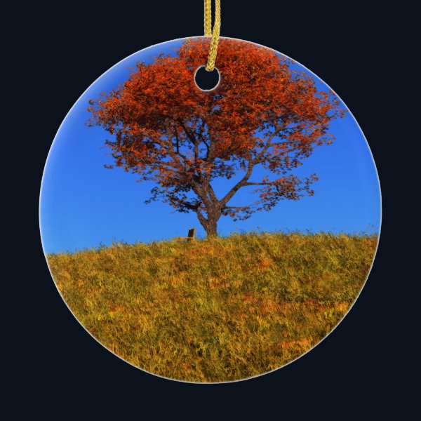 Clear Autumn Day Ornament