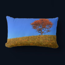 Clear Autumn Day Pillow