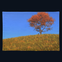 Clear Autumn Day Placemat