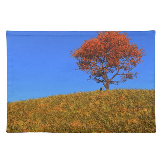 Clear Autumn Day Placemat (Front)