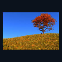 Clear Autumn Day Print