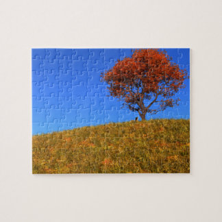Clear Autumn Day Puzzle