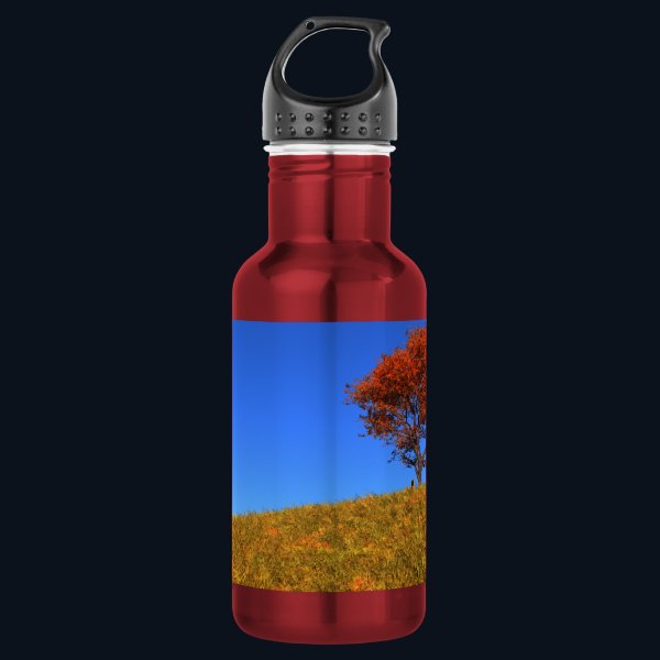 Clear Autumn Day Stainless Steel Water Bottle