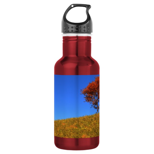 Clear Autumn Day Stainless Steel Water Bottle (Front)