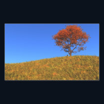 Clear Autumn Day Stickers