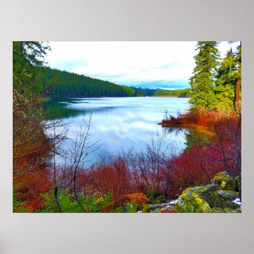 Clear Lake Willamette National Forest Oregon Poster
