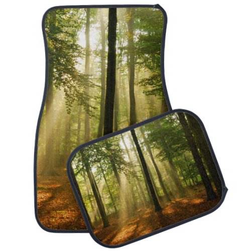 Clear rays of light shining through the forest in  car floor mat