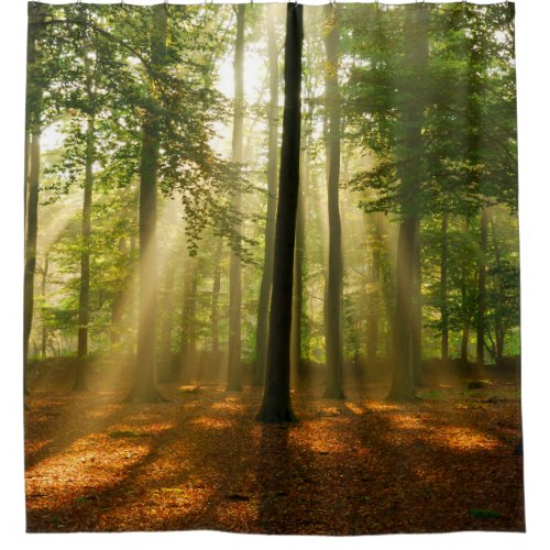 Clear rays of light shining through the forest in  shower curtain