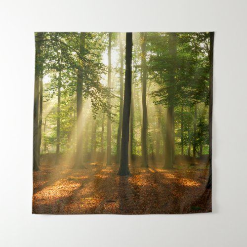 Clear rays of light shining through the forest in  tapestry