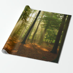 Clear rays of light shining through the forest in  wrapping paper