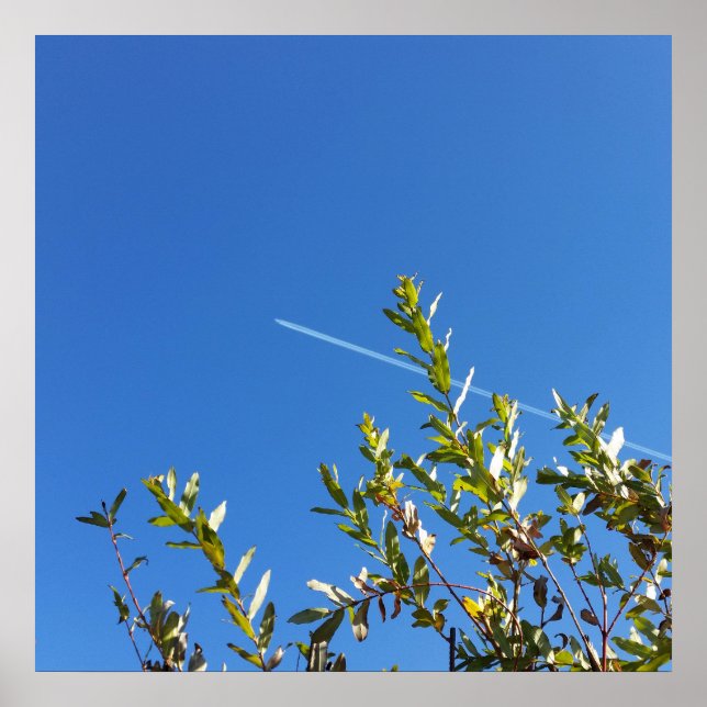 clear sky poster (Front)