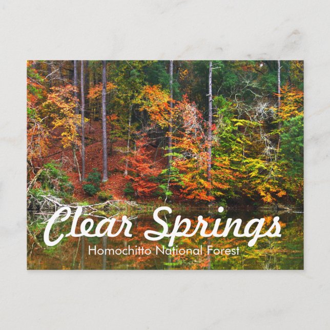 Clear Springs Recreation Area Postcard (Front)