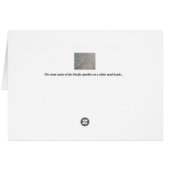 Clear waters cards (Back Horizontal)