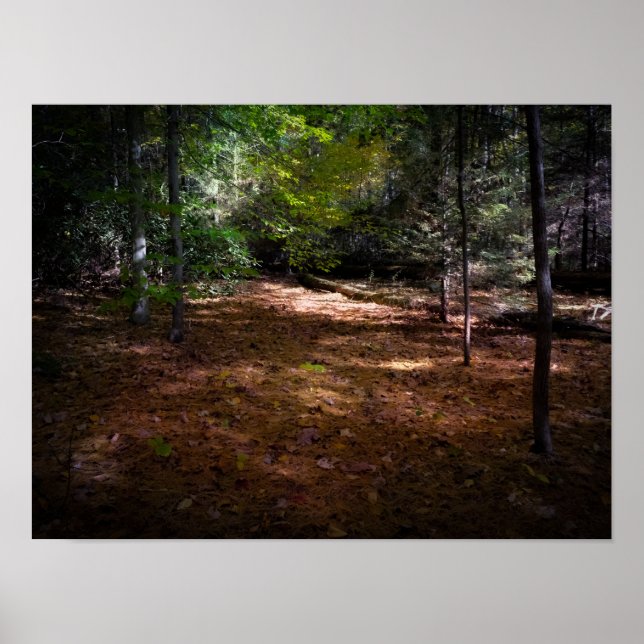 Clearing in a Dark Forest  Poster (Front)