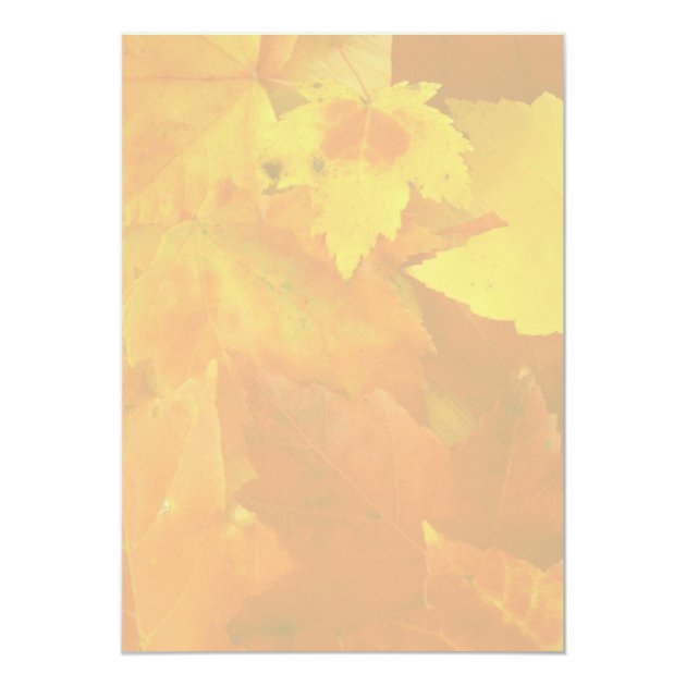 Clearly Fall Border 5x7 Wedding Invitations