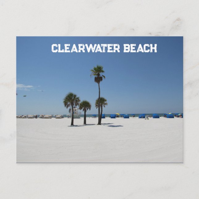 Clearwater Beach FL Postcard (Front)