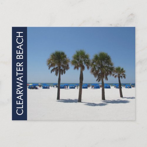 Clearwater Beach FL Postcard