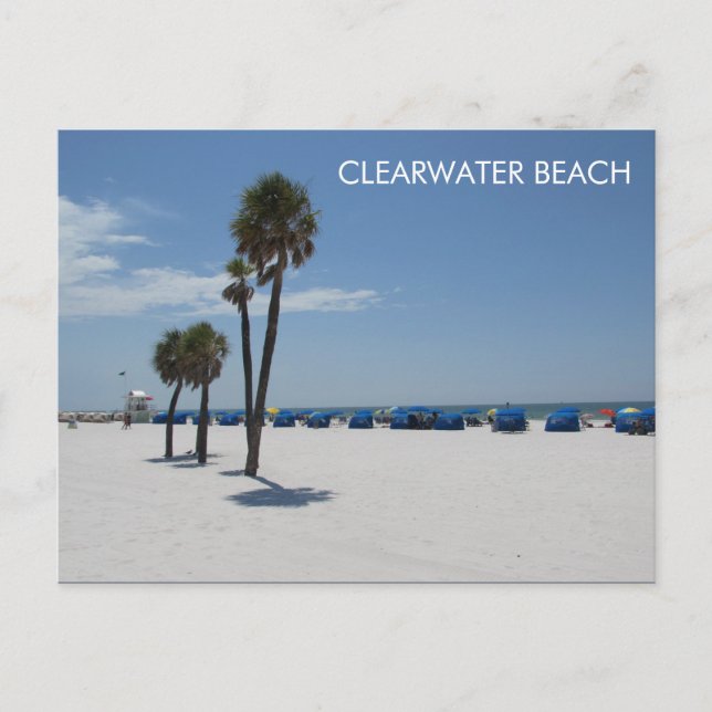 Clearwater Beach FL Postcard (Front)