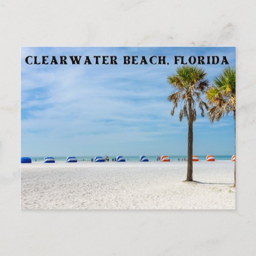 Clearwater Beach Florida Postcard