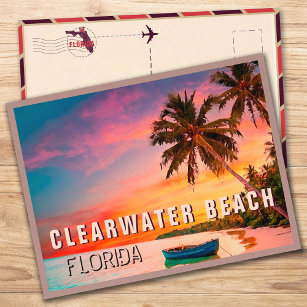 Clearwater Beach Florida Tropical Palm Tree 1950s Postcard