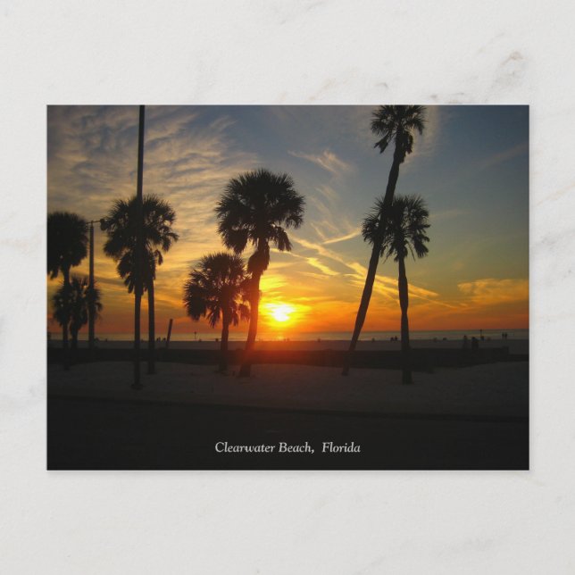 Clearwater Beach Sunset Postcard (Front)
