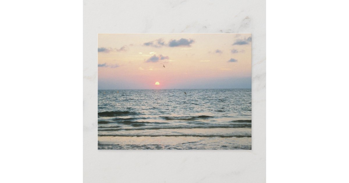 Clearwater Beach sunset postcard | Zazzle