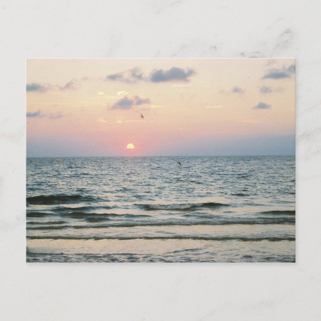 Clearwater Beach sunset postcard (Front)