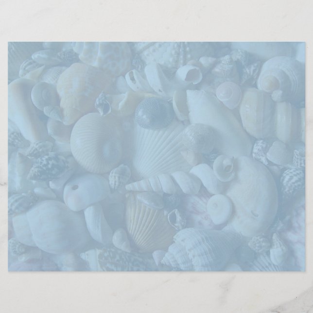 Clearwater Blue Blank Seashell Letterhead Paper (Front)